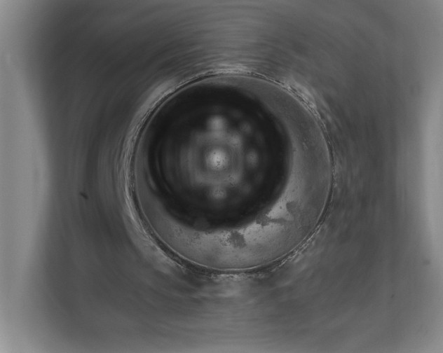 X0000111940145200908101209