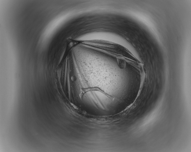 X0000111940146200908101209