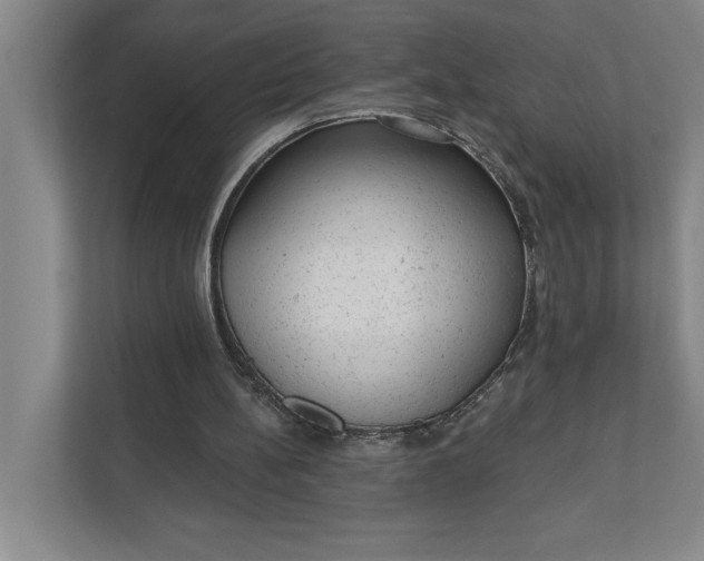 X0000111940148200908101209