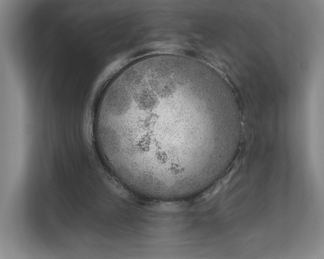 X0000111940149200908101209