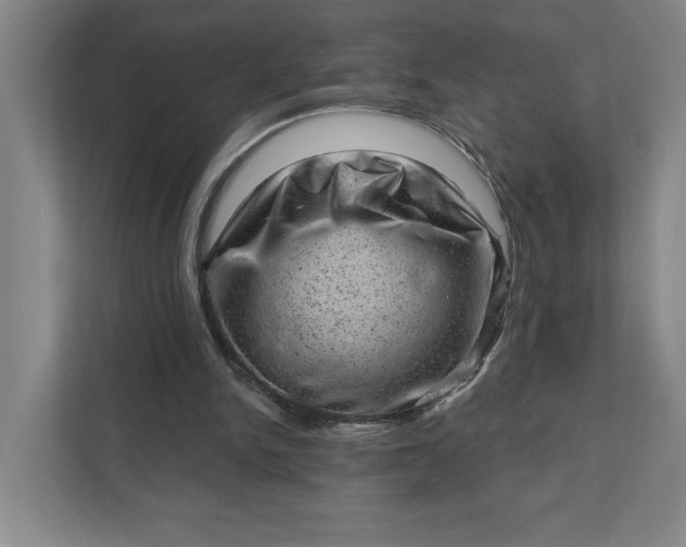 X0000111940150200908101209