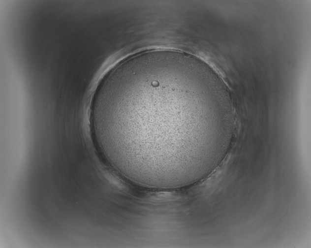 X0000111940151200908101209