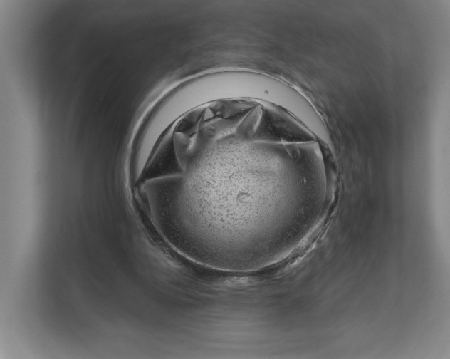 X0000111940152200908101209