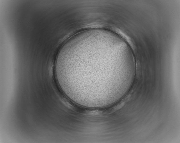 X0000111940153200908101209