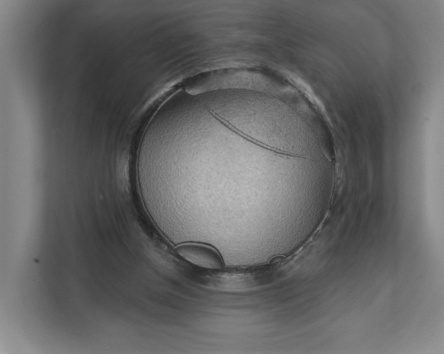 X0000111940154200908101209