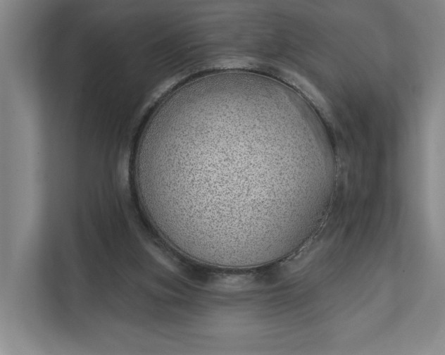 X0000111940155200908101209