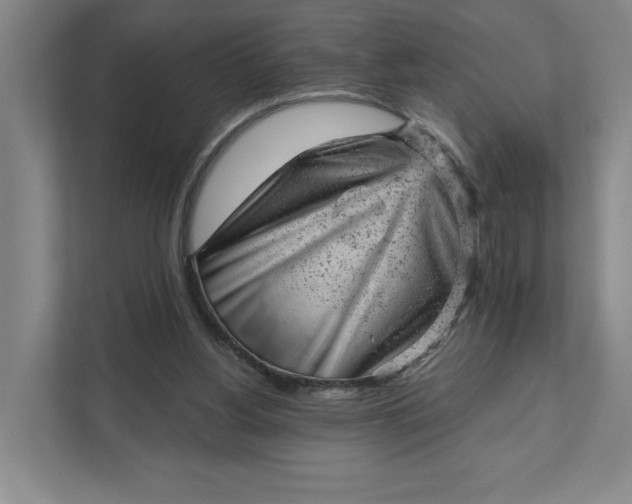 X0000111940156200908101209