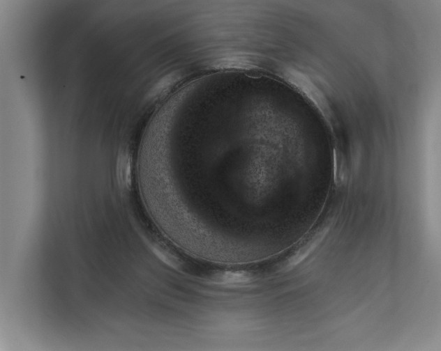 X0000111940157200908101209