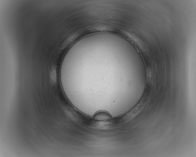 X0000111940158200908101209