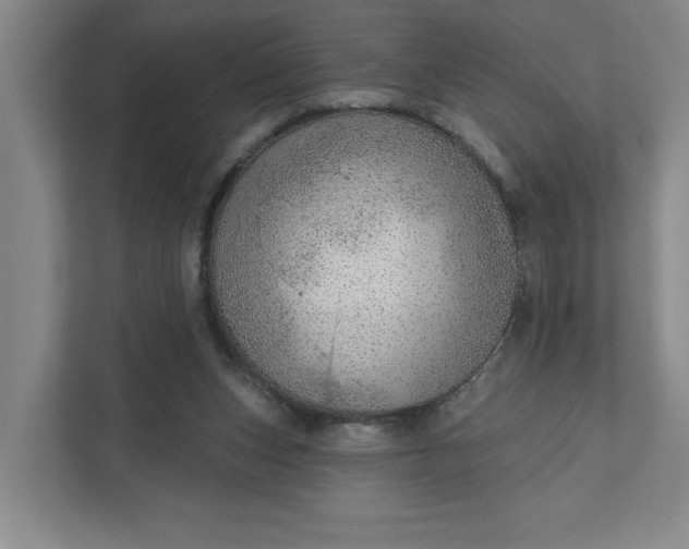 X0000111940159200908101209