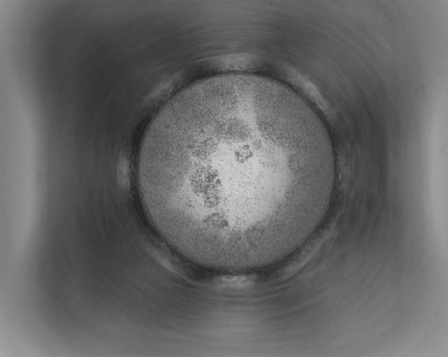 X0000111940161200908101209