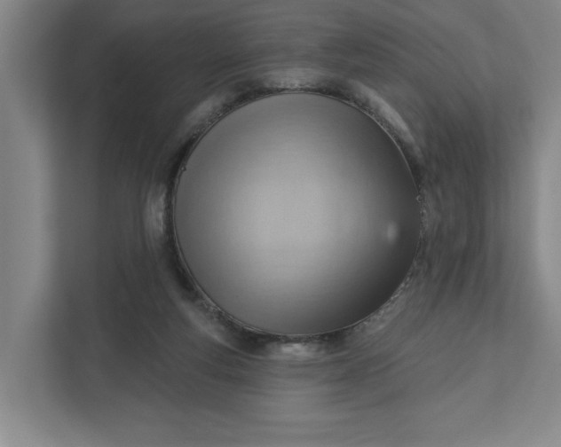 X0000111940163200908101209