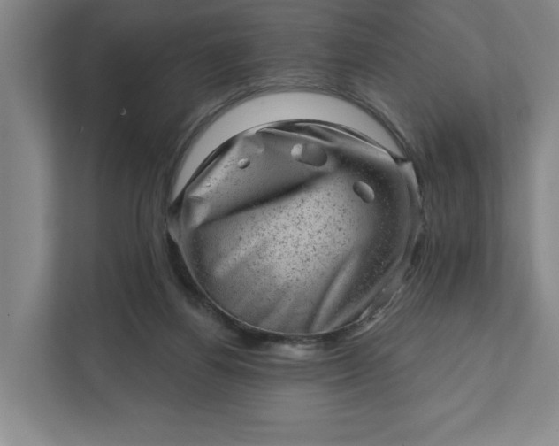 X0000111940164200908101209