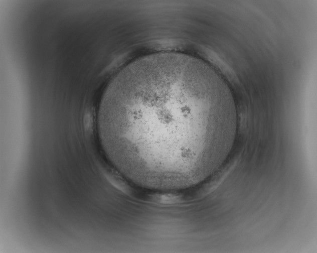 X0000111940165200908101209