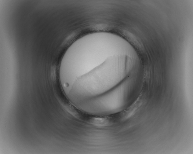 X0000111940167200908101209