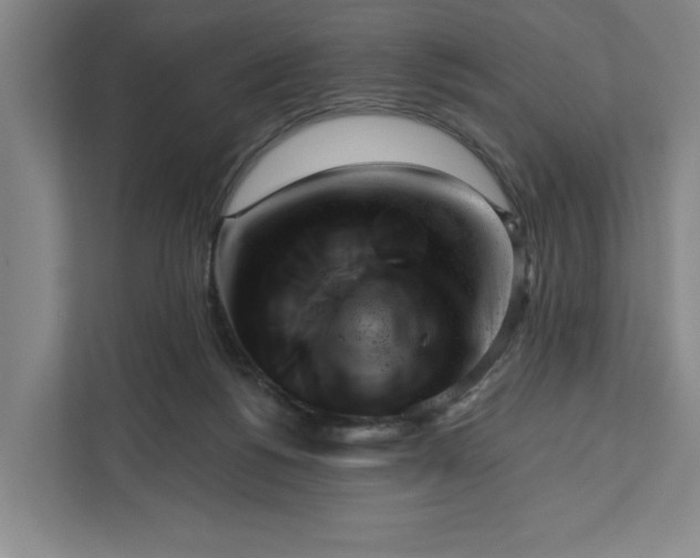 X0000111940168200908101209