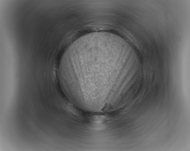 X0000111940169200908101209