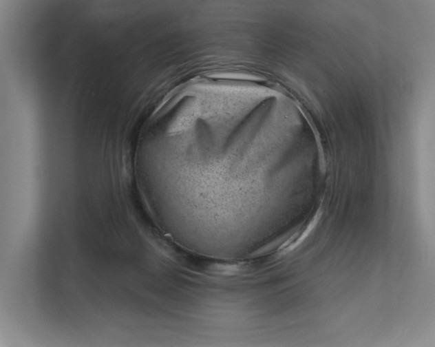 X0000111940170200908101209