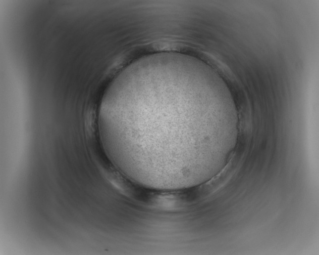 X0000111940171200908101209