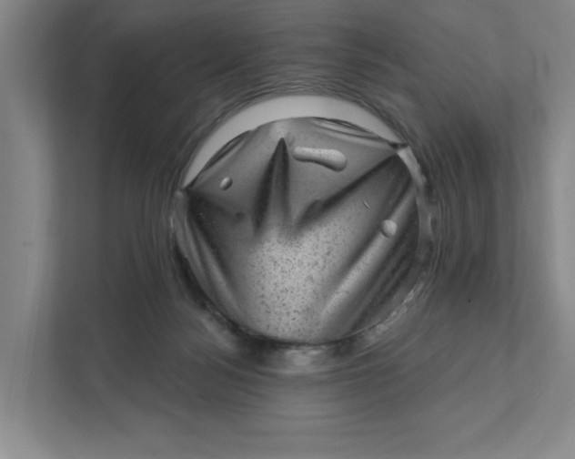 X0000111940172200908101209