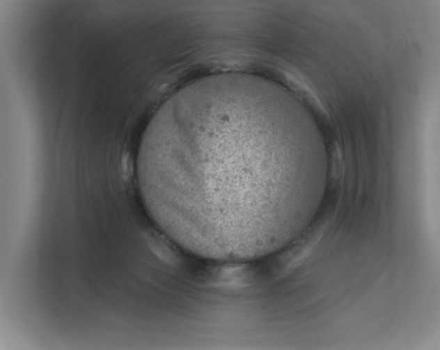 X0000111940173200908101209