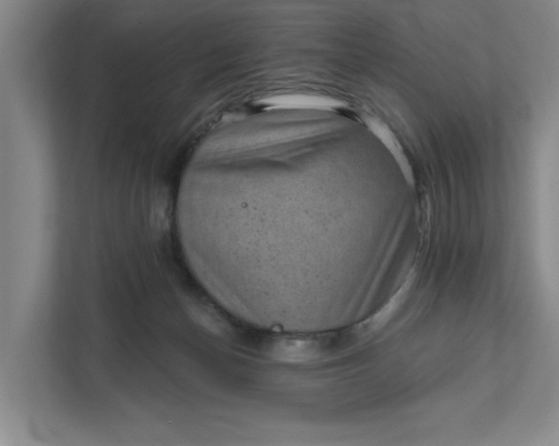 X0000111940174200908101209