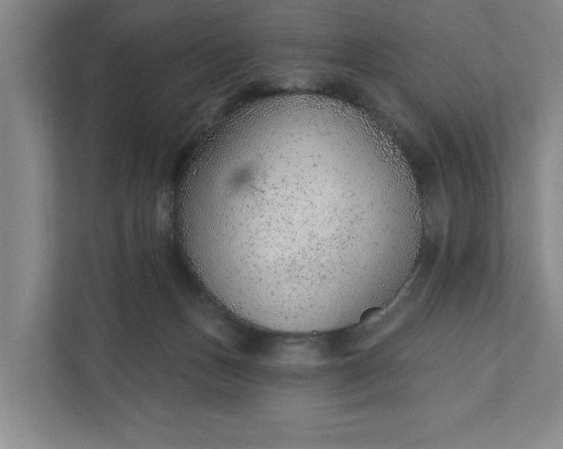 X0000111940175200908101209