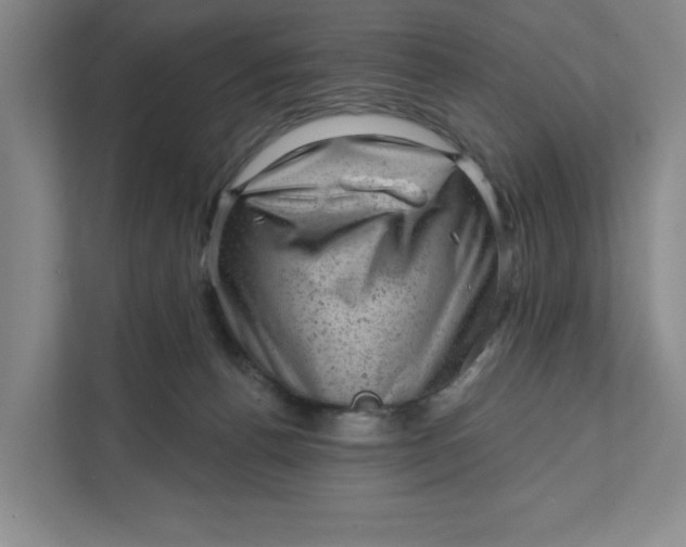 X0000111940176200908101209