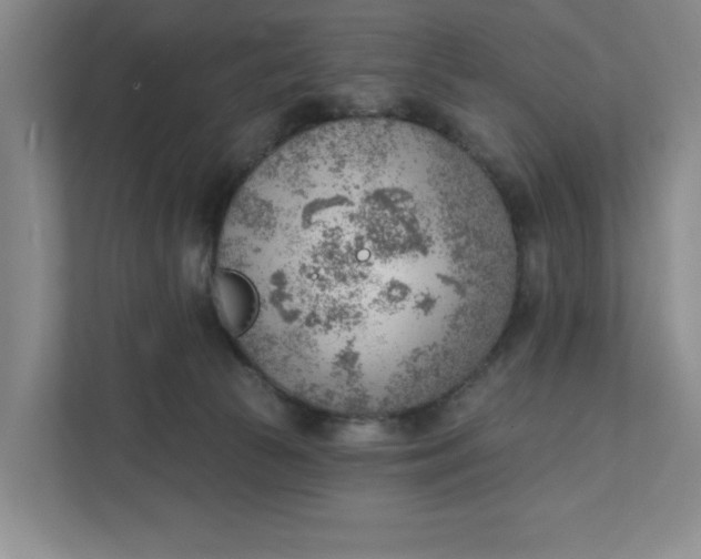 X0000111940177200908101209