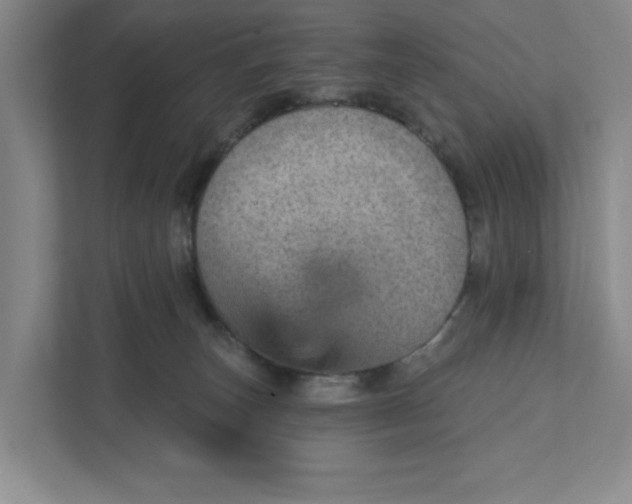 X0000111940179200908101209