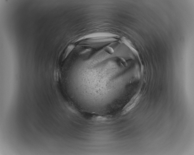 X0000111940180200908101209