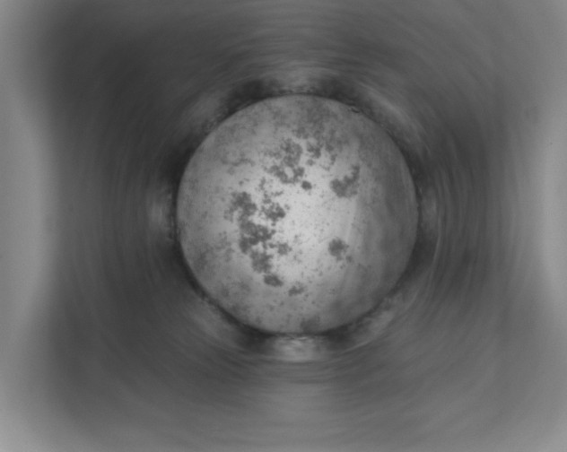 X0000111940181200908101209