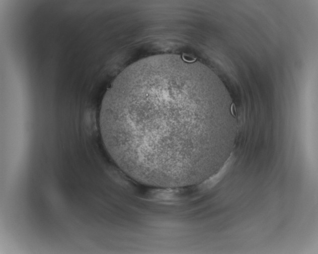 X0000111940182200908101209