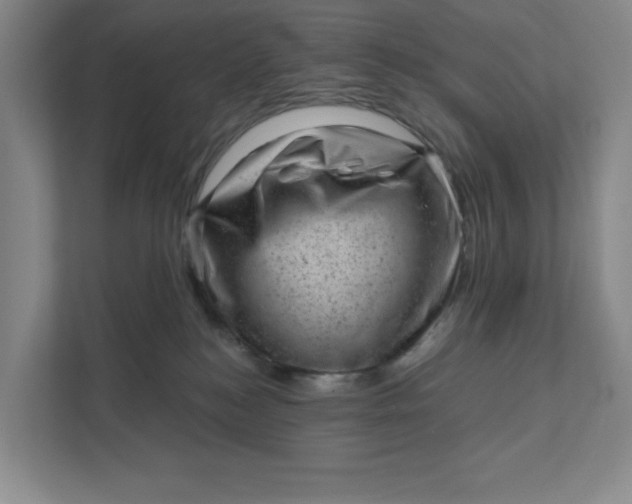 X0000111940184200908101209