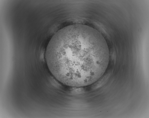 X0000111940185200908101209