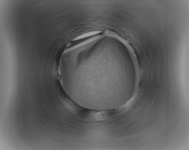 X0000111940186200908101209