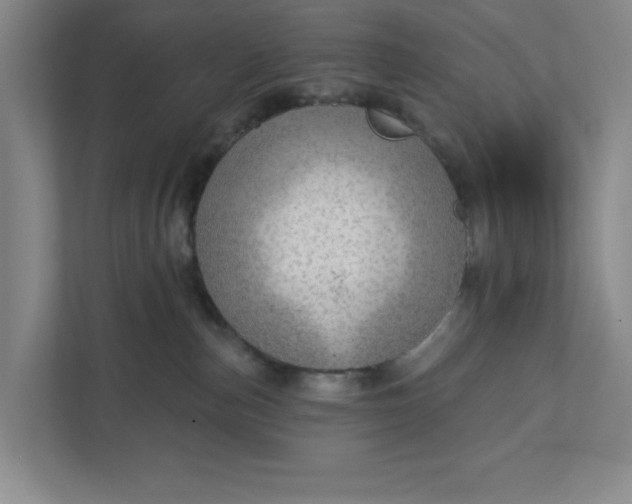 X0000111940187200908101209