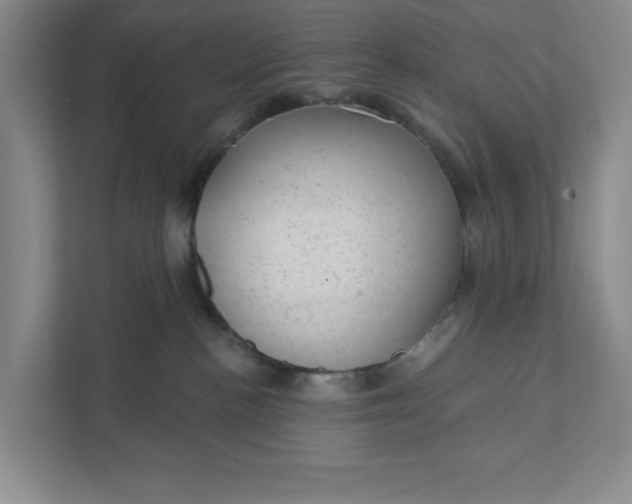 X0000111940188200908101210