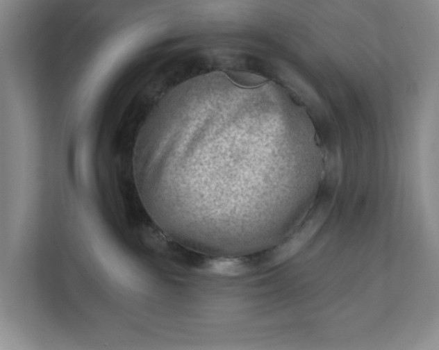 X0000111940189200908101210