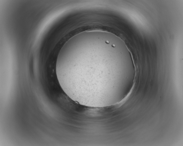 X0000111940190200908101210