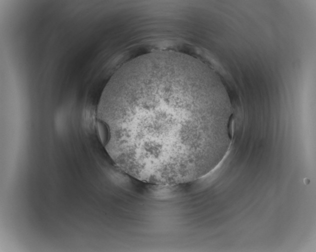 X0000111940191200908101210