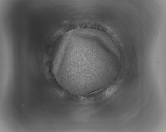 X0000111940192200908101210