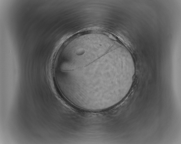 X0000111940193200908101209