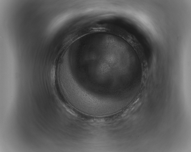 X0000111940194200908101209