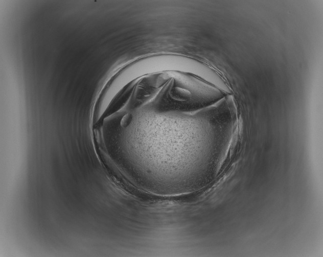 X0000111940195200908101209