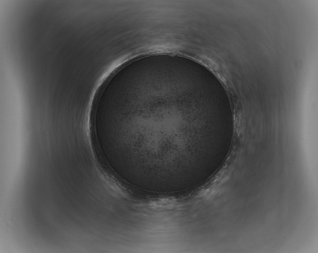 X0000111940196200908101209