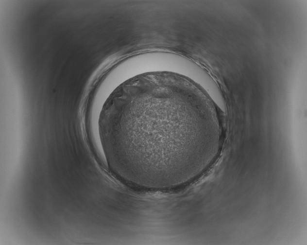 X0000111940197200908101209