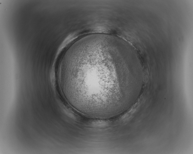 X0000111940198200908101209