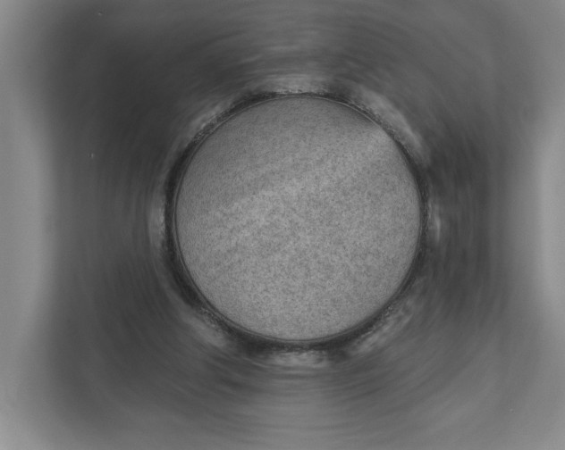 X0000111940202200908101209