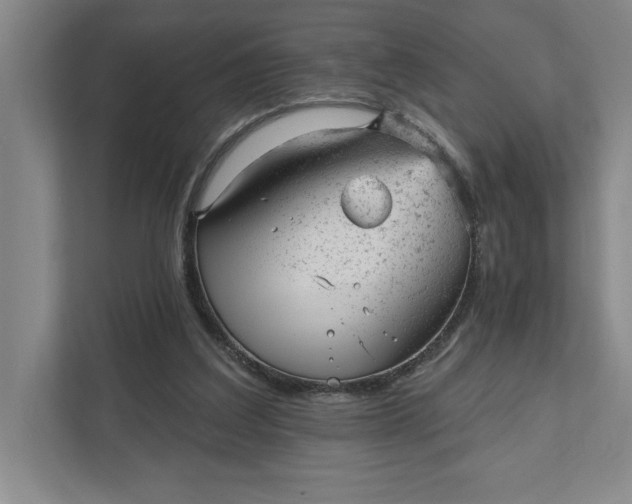 X0000111940203200908101209